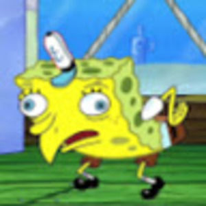 Meet your Posher, Liliana